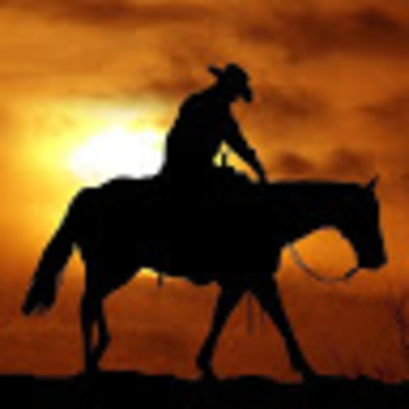 Meet your Posher, Garrett - Picture 1 of 1